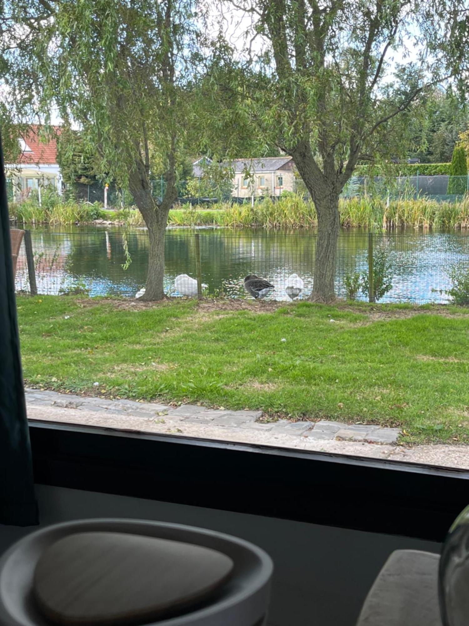 Chaletje Tis-Ier-Goed Jabbeke  Eksteriør billede